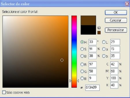 Fig. 8. Valores del color frontal de la imagen.