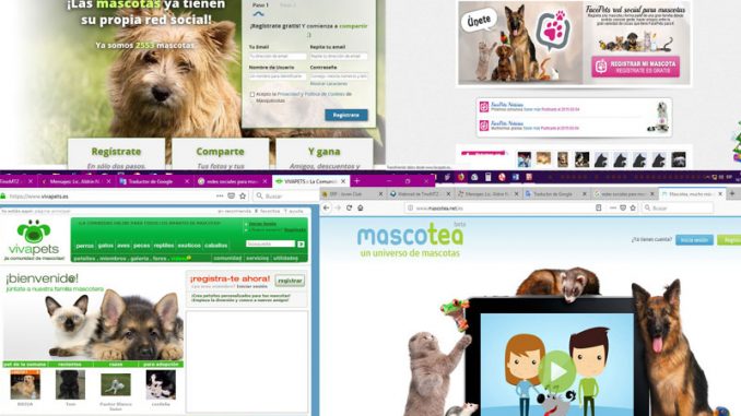 mascotasredes Las mascotas en las redes sociales
