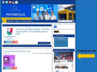 Facebook Fan Box en blog de plataforma Reflejos - Revista Tino