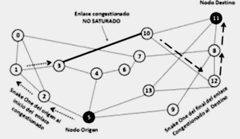 Metaheurística Framework ParadisEO - #RevistaTino