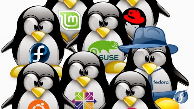 download Informatizar la sociedad con software libre