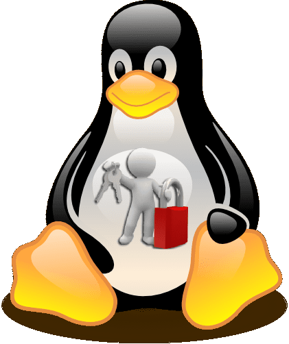 Copia de seguridad en GNU/Linux.- #RevistaTino