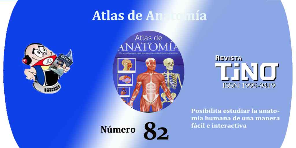 Anatomy destacada #RevistaTino