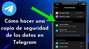 Copia de Seguridad. . #RevistaTino