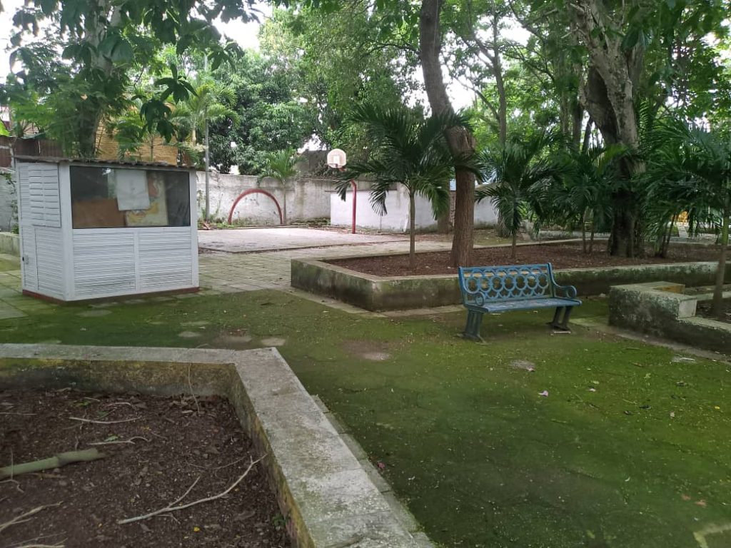 Bosque Tecnológico de Camagüey. #RevistaTino